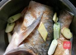 家炖白鲢鱼的做法图解1