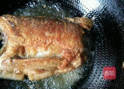家炖白鲢鱼的做法图解3