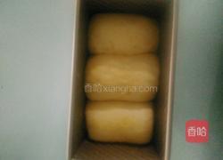 北海道吐司的做法图解13