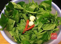 蒜蓉红薯叶的做法图解1