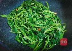 蒜蓉红薯叶的做法图解4