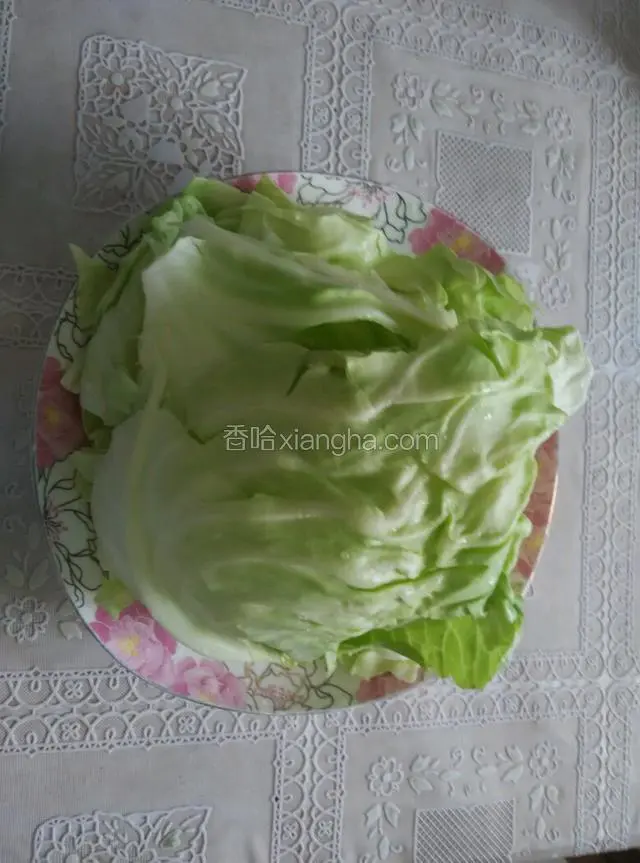 卷心菜洗净