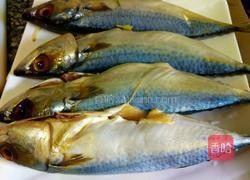 辣烧鲐鲅鱼的做法图解1