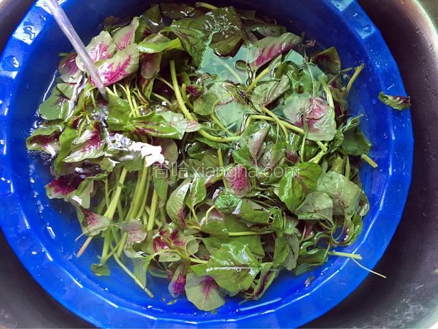 苋菜洗净