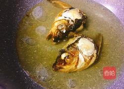 鲢鱼头炖豆腐的做法图解7