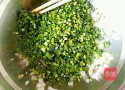 鱿鱼饺子的做法图解5