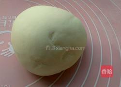 胡萝卜猪肉饺子的做法图解6