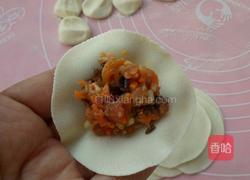 胡萝卜猪肉饺子的做法图解10