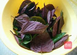 拌苏子叶的做法图解1