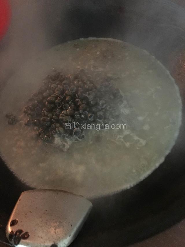炒几分钟后加入配料和水，水要盖过石螺高一指