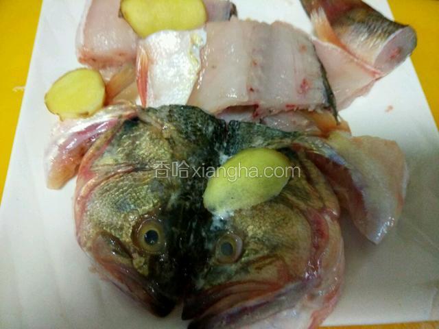 鱼身骨头斩件，鱼头，鱼尾，姜片备料