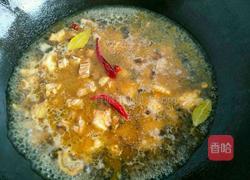 番茄酱土豆烧牛肉的做法图解9