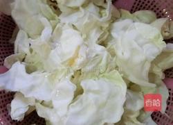 素炒圆白菜的做法图解1