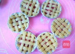 李子派的做法图解18