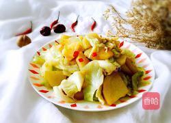土豆白菜的做法图解18
