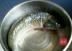 干锅香辣鱼块的做法图解1