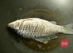 野生鲫鱼汤的做法图解4