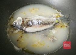 野生鲫鱼汤的做法图解7