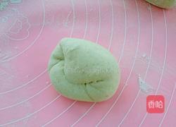 荞麦馒头的做法图解10