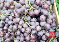 自酿桃红葡萄酒的做法图解1