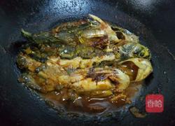 红烧咯牙鱼的做法图解6