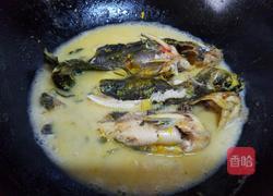 炖嘎鱼的做法图解6
