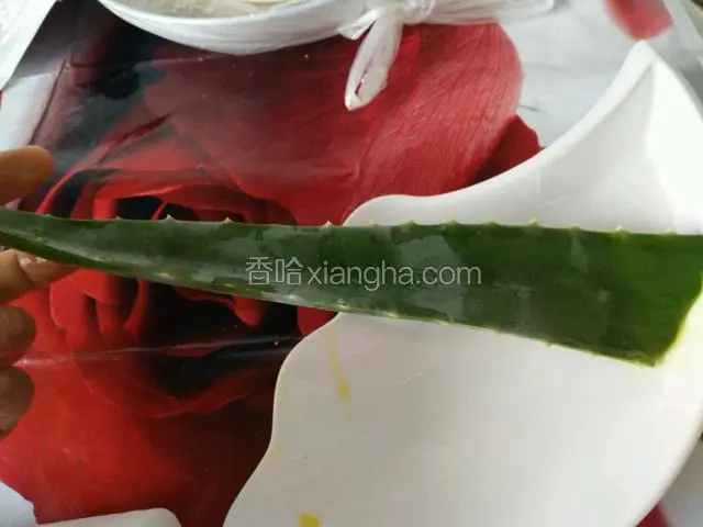 准备好新鲜芦荟30克，我家里盆栽的