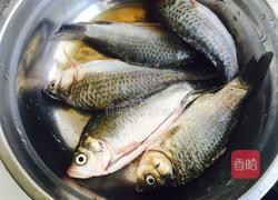 麻辣鲫鱼的做法图解2