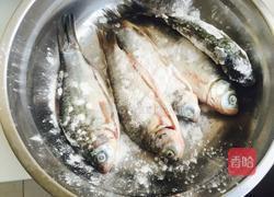 麻辣鲫鱼的做法图解5