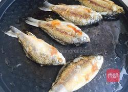 麻辣鲫鱼的做法图解8
