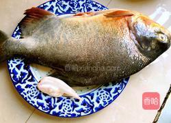 香煎武昌鱼的做法图解2