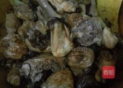 野蘑菇炖鸡的做法图解9