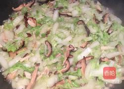 鸡肉春卷的做法图解4