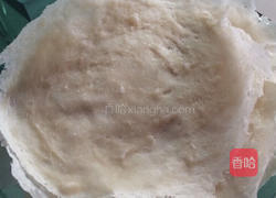 鸡肉春卷的做法图解5