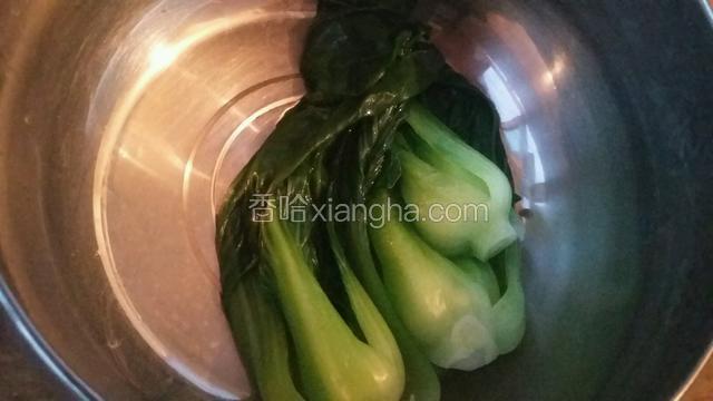 过凉水。挤出水分备用。