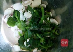穿心莲拌百合的做法图解3