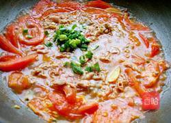 茄汁牛肉的做法图解8