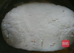 洋葱木耳水饺的做法图解3