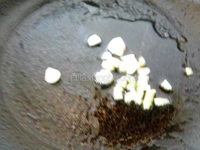 一点油，爆香姜蒜