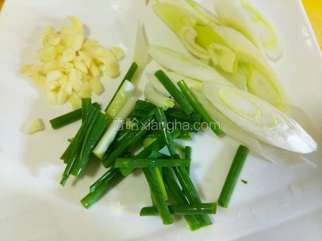 蒜蓉，大葱，香葱备料