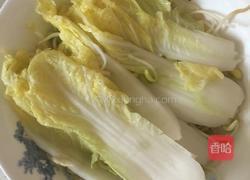 水煮鱼(微辣)的做法图解4