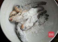 干锅小黄鱼的做法图解2