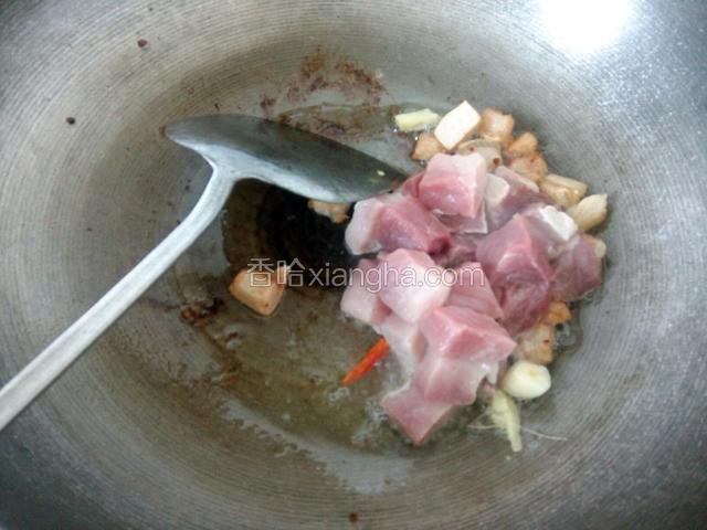 加姜蒜，朝天椒，八角，倒入瘦肉，