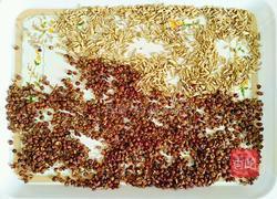 自制五香粉的做法图解2