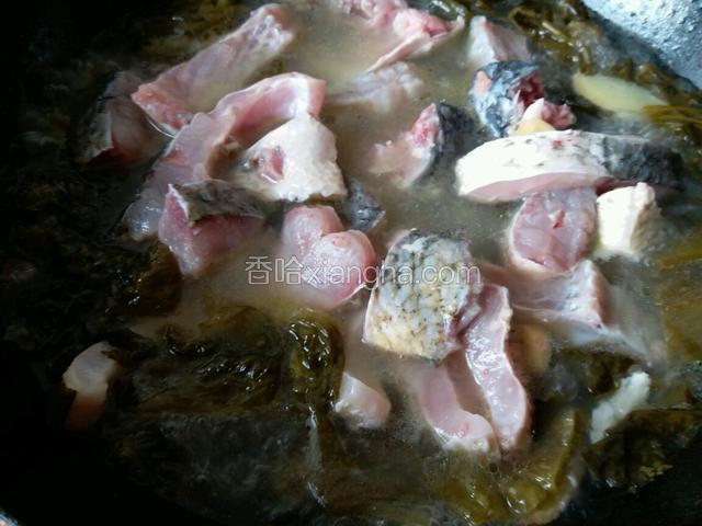 汤开后，下入鱼块，略微翻匀，大火烧开 ，改小火炖15分钟，中途尽量别翻，可以晃动锅