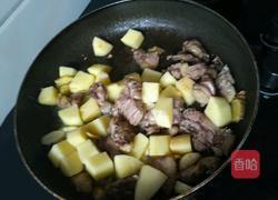 土豆炖鹅肉的做法图解6