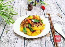 土豆炖鹅肉的做法图解9