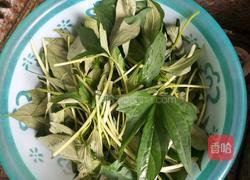 炒红薯苗的做法图解1