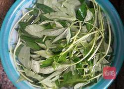 炒红薯苗的做法图解2