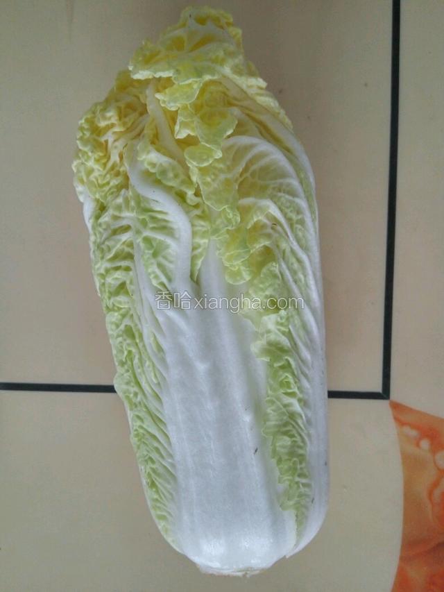 娃娃菜一棵